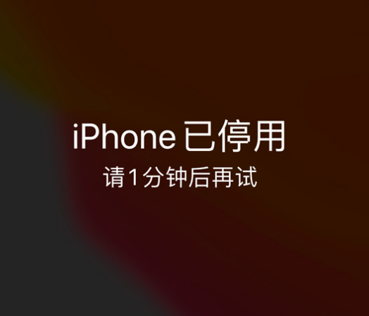 江汉苹果手机维修分享:iPhone 显示“不可用”或“已停用”怎么办？还能保留数据吗？ 