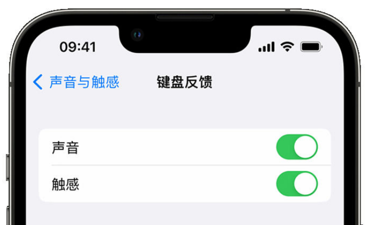 江汉苹果手机维修分享iPhone 14触感键盘使用方法 