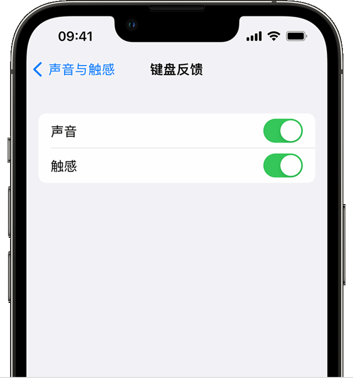 江汉苹果14维修店分享如何在 iPhone 14 机型中使用触感键盘 