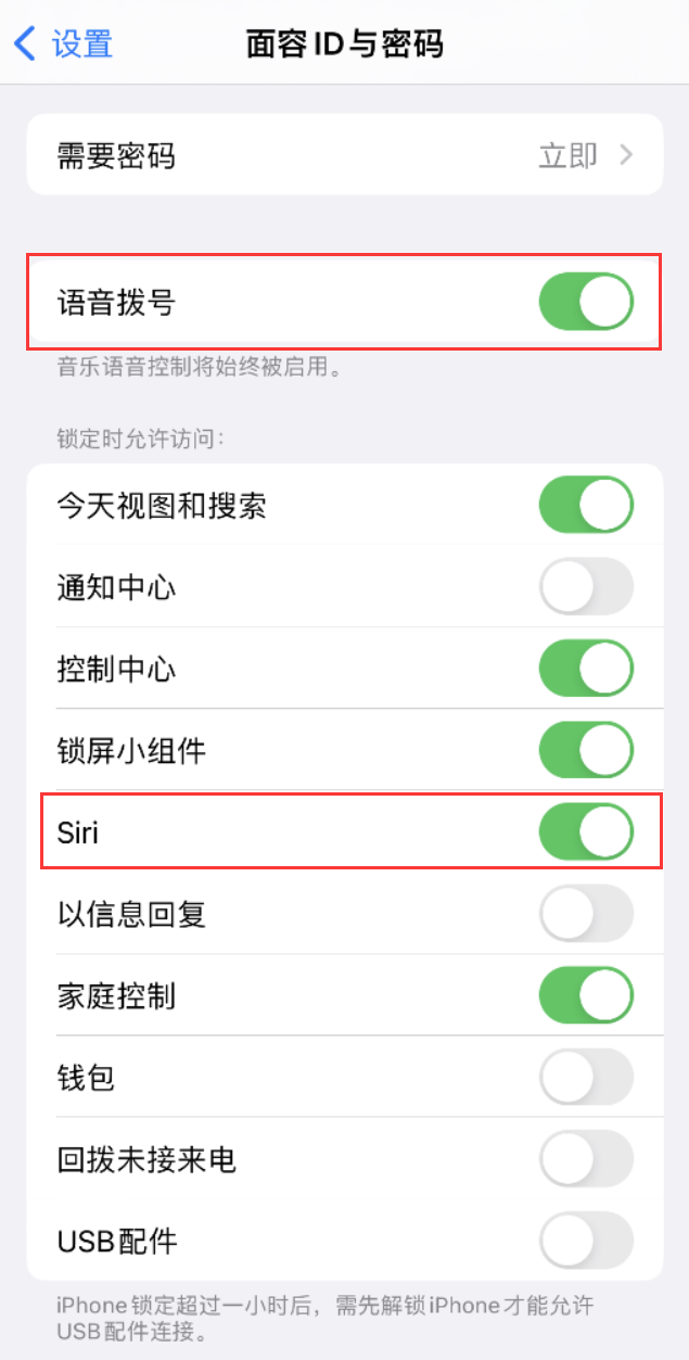 江汉苹果维修网点分享不解锁 iPhone 的情况下通过 Siri 拨打电话的方法 