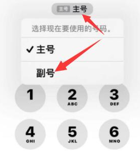 江汉苹果14维修店分享iPhone 14 Pro Max使用副卡打电话的方法 