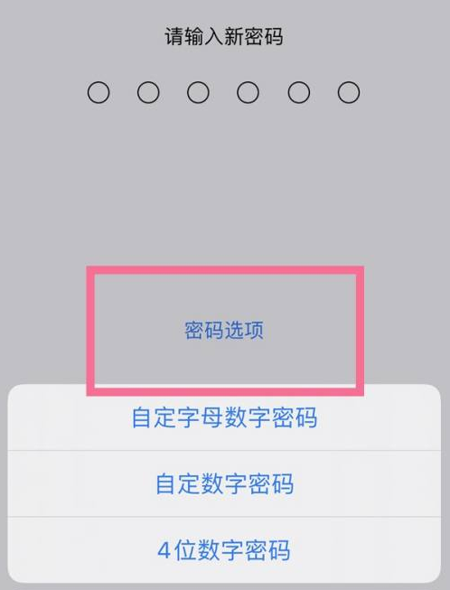 江汉苹果14维修分享iPhone 14plus设置密码的方法 