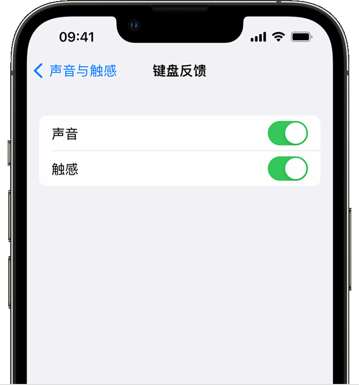 江汉苹果14维修分享iPhone 14 系列机型如何开启键盘声音或触感反馈 