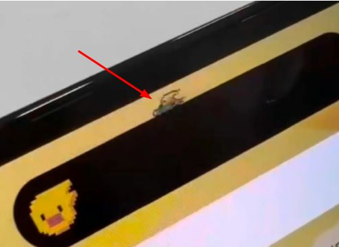 江汉苹果14维修分享iPhone 14 Pro Max灵动岛怎么养宠物 