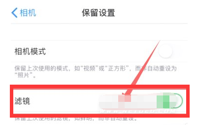 江汉苹果13维修分享iPhone13拍照有绿点是怎么回事 