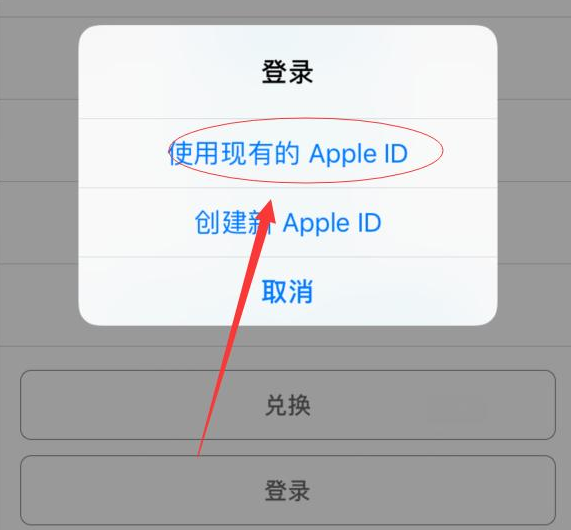江汉苹果手机维修分享两台iPhone设备可以同时登录一个Apple ID吗 