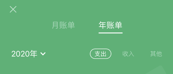 江汉苹果手机维修分享如何在 iPhone 上查看支付宝和微信年支出账单 
